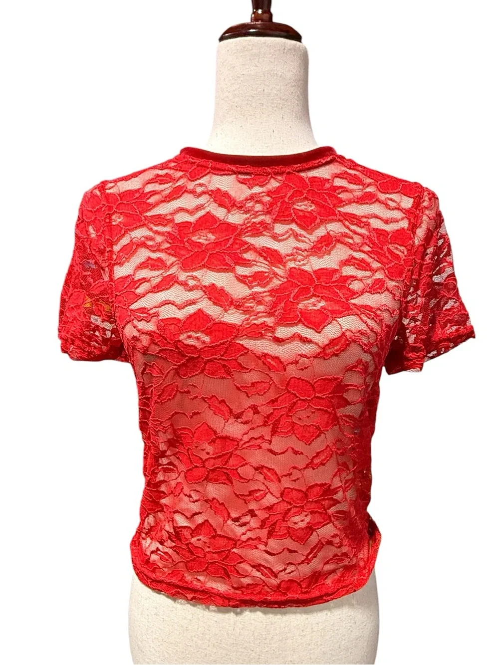 Red Lace Short Sleeve Top with Velvet Trim Size L Whimsigoth Romantic Sheer Mesh